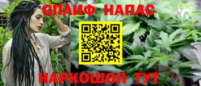 прущие крисы Будённовск