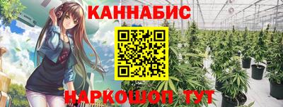 прущие крисы Будённовск