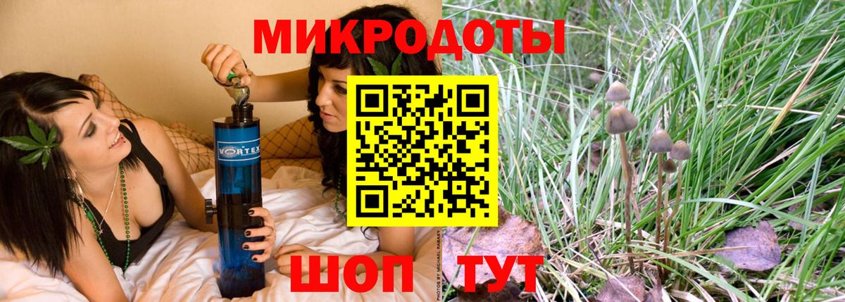 Псилоцибиновые грибы Cubensis  Вход с VPN  Чехов 